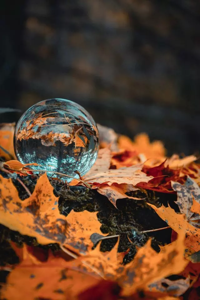 autumn-globe---pexels-artem-saranin-1547815